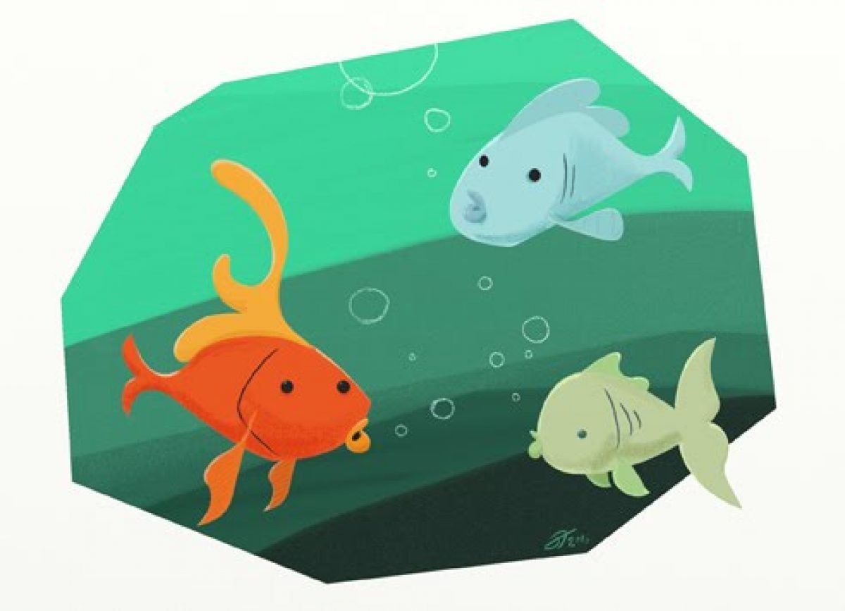 Cerita Dongeng Untuk Anak Kisah Tiga Ikan Mas