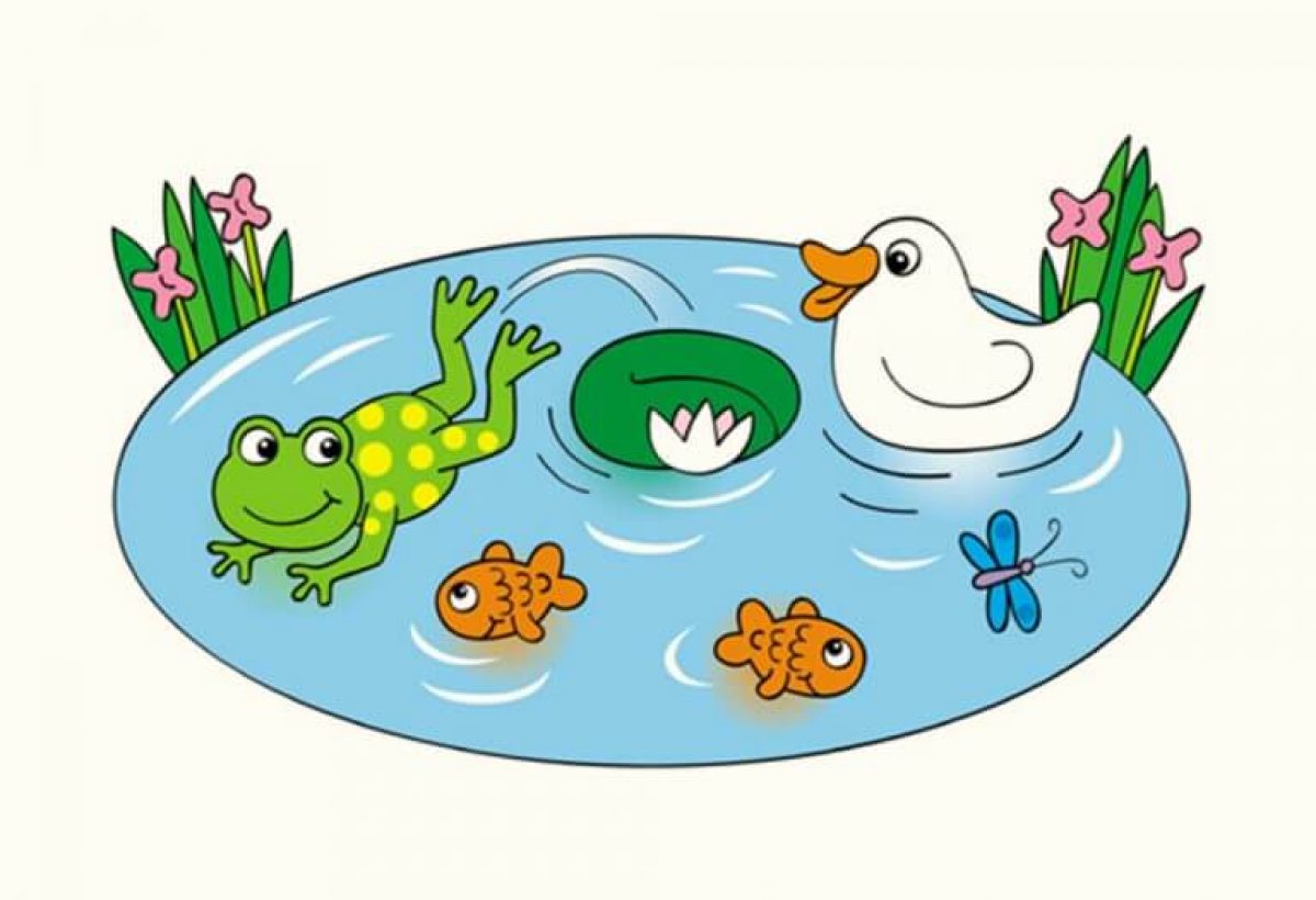 Лягушка в водоеме для детей без фона